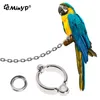 Perrot Foot Rings Metal Pet Bird Houges de jambe de la mouche extérieure Activité d'entraînement à la mouche Anti-perte Accessoires de laisse à clip de 0,45 à 1,15 cm