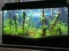 Control Control 5050SMD Light Bar Strip Striscia sottomarina Multicolore RGB Aquarium Serbatoio del serbatoio Fish Luce impermeabilita