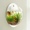 Vase en verre transparent Mur en verre suspendu Terrarium Terrarium Terrarium Fish Tanks Plante Plant Flower Pot Dia 15/17/22,5 cm