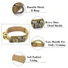 FORMAZIONE DANNO COLLAR COLLARE TATTICO DEL CANI TATTICO E GUARDA DI CONTROLLO DEL GLEA PET COLLAR PET PAT PER PICCOLA CANI