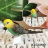 Akcesoria Key Cap OEM Cherry Pbt Parrot Keyhat Bird Keycaps do mechanicznej klawiatury Keycap Creative Single Bird Birthday Gift