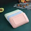 Creatief tarwebrijf rechthoekige plaat melamine gezond servies servies keuken kookgerei dessert sushi pastagerechten