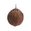 Bird Parrot Finch Nest Natural Coconut Shell Hanging Chain Cage Toys Swing House 090