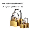 2 Pcs Same key Copper Padlock Wolf Head Brass Lock Small Locks Door Locks 20mm 25mm 30mm 40mm Not Rust Lock Core Include 6 keys