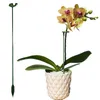 10st Plant Stand Phalaenopsis Orchid Flower Special Stand Home Gardening Supplies Flower Support Rod Fixed Potted Trädgårdsverktyg