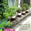 4 Pcs Plant Support Stakes Ring Cage Metal Garden Plant Stake Green Half Round Plant Support Ring Large Plant Supports