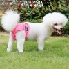 Réutilisable Femelle Dog Diaper Shorts lavables Sanitary Menstrual Physiological For Medium gros chiens Pantalons Sécurité Sous-vêtements