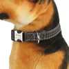 Anti-Perd Collar Pet Name Coloque Cola Dog Diy Tag Diy Collars Cat para cães pequenos médios grandes