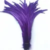 50pcs Roose Rooster Coque Tail Feathers dla rzemiosła 40-45 cm 16-18 "Kogut Pióro naturalne bażanta Plumas Carnaval Pluma