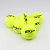 Welkin New 63 mm Pet Dog Puppy Tennis Ball Thrower Chucker Launcher Play Toy Supplies Sports en plein air avec conception de caoutchouc pour animaux de compagnie