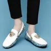 Casual schoenen Echte lederen herenjurk Luxe designer Snakeskin mode mocassins mannelijke feest rijbladen flats voor mannen schoen