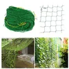 2pcs/Los großer Blütenpflanze Kletterrahmen Gartenzaun Netz Gemüse Anti-Bird Net Gemüse Pflanze Gitternetze