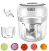 100/250 ml Mini Electric Electric Vitlök Cutter USB laddningsbar ingefära masher robust chili vegetabilisk kök köksverktyg