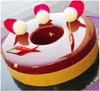 3D ronde vorm siliconenvorm voor cake dessert mousse voedselkwaliteit vormen kerstversiering gereedschap bakcake mallen