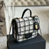 Top Famous Brand Bags100 Fashion Bas Bas Handbag Plaid Purse Purse Double Letter Solid Bouteille de mouton Caviar Modèle de laine Posteur de luxe pour femmes Sacs de luxe pour femmes