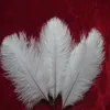 Belo Avestruz Feather 10 PCS Comprimento de penas de 6 a 8 polegadas / 15 a 20 cm de casamento para decorar uma variedade de cores opcionais