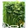 Artificial Lawn Plant Wall, Christmas Wedding Decoration, Hotel, Store Background, Home Decoration