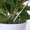 3 in 1 terreno pH metro per metro per vaso igrometro tester terrestre piante in crescita per intensità della luce di umidità strumenti da giardino