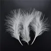 20pcs/lot white feasant Crafts for Crafts Duck Goose Feather