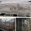 0,35 mm przezroczystą plandekę z oczkami do zaprzyjaźniania się ogrodnictwo deszczowe ogrodnictwo na zewnątrz gęstość tkaniny balkon bonsai soczyste utrzymanie ciepła