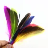 20pcs/lot色のキジのアヒルの羽毛のためのクラフトのための天然羽のジュエリー
