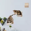 wholesale3pcs /1 pcs壁取り付けられた猫棚子犬猫登山おもちゃ木製ペット猫腰痛ステップベッド猫ハンモックベッド猫の壁の家