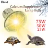 25/50/75W Reptile Lampe Bulbe UVA + Turtle UVB Planant le chauffage UV Bulbe Calcium Supplément pour le contrôleur de température des amphibiens