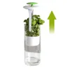 Bottiglie di stoccaggio verdure verdi Saver coriandolo custode per alterazione della massima freschezza organizzatore con slot di ventilazione
