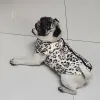 Abiti da cane impermeabili per cani di piccola taglia inverno campola per cagnolini da cagnolina vestito per cani grandi cuccioli di pug bulldog bulldog giacca Chihuahua