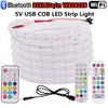 RGB COB PIXEL LED Strip Light USB SK6812 332LEDS/M WIFI Bluetooth Dream Adresserbar digital flexibel FCOB -banddiodlampa