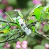 Witte planten stengels ondersteunen clip herbruikbare gebonden bundeltakklem voor tuintomaten groente wijnstok touw rechtop vormen een vaste ring