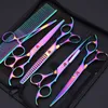 NOUVEAU CISSOIRS DE PET JP PETAL DE 7 POUCHS THEAUX SHEARS POUR LES CHIPS CUTSORCURVE CISSORTSORDING CISEURS 6PCS / SET + PEUP