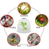 Plant Bell Cover Dome Anti-Freeze Transparent Protector Cover Mini Greenhouse Outdoor Garden Plant Protect