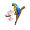 Vogelkäfigstangen Standplattform Parrot Spielzeug Pfoten Schleifbisse Spielzeug mit Bell für Papageien Shotes Pet Birds Training Accessoires