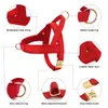 Customized Leather Dog Collar Harness Leash Set Personalized Pet Mesh Vest ID Leads For Small Medium Large Dogs 240328