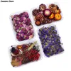 1 doos echte mix gedroogde bloemen voor hars sieraden droge planten geperste bloemen maken ambachtelijke diy accessoires