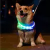 Chien USB Collier rechargeable Light Ajustement Collier de clignotement incarnable Ajustement en extérieur