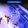 Clear Arcylic Aquarium Fish Feeder Anti-drift Shrimp Egg Fish Food Feeding Ring Betta Fish Tank Feeding Cup Aquarium Accessories