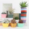 Mini poterie colorée basse fleur ronde pot terre cuite végétal Pottery Pottery Clay Planteurs pour cactus et plantes succulentes