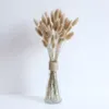 Natural Bunny Tail Gras Gedroogde bloemen voor decor lagurus boeket boho gedroogd konijn staart gras binnen salontafel decoratie