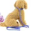 Colarinho de cachorro colareshes pet nylon corda treinamento deslizamento de chumbo tira ajustável colar de tração cães cães suprimentos de 0,6x130cm entrega dhacx