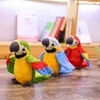 Plush Dolls The Talking Parrot يكرر ما قلته عن ألعاب الحيوانات الفخمة ألعاب الببغاء الإلكترونية ألعاب Plush Toy Parrot أفضل هدية للأطفال J0410