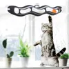 Cat Interactive Toy Track Ball Catch Cat Educational Toy Zabawny Zabawa Tunel zwiastun Kitting Scrating Pet Akcesoria do aktywności