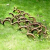 Flexibele kunstmatige boomtakjes Vine Takken zijde planten stam liana met bladeren voor huis bruiloft tuin muur hangende decoratie