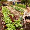 Cesatrice per semina per semina del telaio a cerchio per pianta da giardino set di cerchi a serra del vetro protezione del gelo resistente per patio giardino di orto 240329