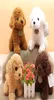 Toys en peluche Chien en peluche mignon en peluche Jouet en peluche en peluche douce