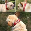 مخصص Lederen Halsband Gepersonaliseerde Pet Id Kraag Gewatteerde Graveren Crystal Kragen Verstelbare Voor Kleine Middelgrote Grote Honden