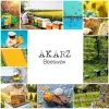 Akarz Yellow Beeswax Pure Natural Cosmetic Grade Top Quality for Diy Balms Lips Loções Candas abelhas pastilhas de cera Matérias -primas
