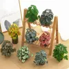 Plants de terrarium plante artificielle pour les amphibiens de reptile pour les décorations d'habitat pour animaux de compagnie de réservoir feuilles 10 styles