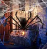 50 -off na imprezę Halloween Dekorację Czarny pająk nawiedzony dom House Prop na zewnątrz olbrzymie 3 Rozmiar 30 cm 50 cm 75 cm OTTIE9553289